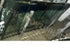 VW POLO WINDSCREEN FRONT 2014