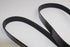 JAGUAR JAGUAR S-TYPE MICRO-V BELT 3.0 99-02