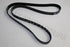 JEEP FAN BELT RENEGADE 1.6 PETROL 2015