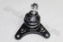 ISUZU BALL JOINT KB250 UPPER L OR R 2008