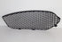 MERCEDES-BENZ AMG 2014 W246 B250 FRONT BUMPER GRILL LHS