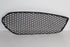 MERCEDES-BENZ AMG 2014 W246 B250 FRONT BUMPER GRILL LHS