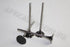 OPEL EXHAUST VALVE ASTRA Z18XE STD SIZE