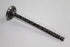 FORD EXHAUST VALVE RANGER 3.0 STD 2008