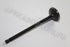 FORD INLET VALVE RANGER 3.0 STD 2008