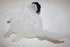 PEUGEOT EXPANSION BOTTLE 508 2.2D 12-