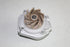 FIAT WATER PUMP PUNTO 1.4 06-08