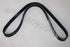 RENAULT FAN BELT KANGOO 1.4 8V 2005 / HYUNDAI H100