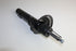 FORD SHOCKS FRONT L/R MONDEO 2.0 01-06