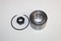 TATA INDIA WHEEL BEARING FRONT 2012