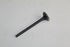 TOYOTA VALVE-EXHAUST CAMRY 3.0 3VZ 92-01