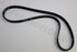 KIA SEDONA FAN BELT