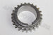 FORD FOCUS 1.6I 2006 CRANKSHAFT GEAR