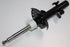 RANGE ROVER SHOCK ABSORBER EVOQUE 2.0 F/L 11-