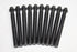 RENAULT MEGANE 2 2010 1.9 DCI HEAD BOLTS