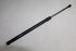 TOYOTA BOOTLID SHOCK GAS L/R RUNX 1.4 07-