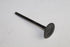 LEXUS IS250 2004-2006 EXHAUST VALVES 29X5.5X95.1