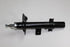 RANGE ROVER SHOCK EVOQUE 2.2 REAR R 11-19 224DT
