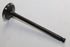 TATA XENON 2.2 DIESEL INLET VALVE