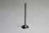 PEUGEOT BOXER 2001-2008 2.8 HDI  INLET VALVES