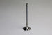 PEUGEOT BOXER 2001-2008 2.8 HDI  INLET VALVES