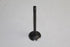 PEUGEOT 406 1997-1999 2.0 3 GROOVE INLET VALVE