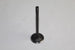PEUGEOT 406 1997-1999 2.0 3 GROOVE INLET VALVE