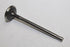 AUDI A3 VALVE EXHAUST 2.0 BVZ 04-08