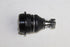 HYUNDAI H100 BALL JOINTS LOWER D4BB 2012-