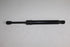 AUDI A4 GAS SPRINGS L/R AVANT BLB 2005-2008