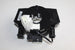 NISSAN CLOCK SPRING NIVARA 2.5 05-