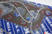 FORD HEADSET  ESCORT 1.6 96-99