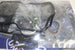 SUBARU HEAD SET FORESTER 2.5 2011