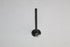 TOYOTA VALVE-EXHAUST CAMRY 3.0 3VZ 92-01