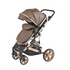 2 in 1 Emerald Baby Gold Rush Stroller with Nappy Bag