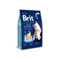 Brit Premium Kitten Chicken Dry Cat Food