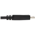 Eaton Tripp Lite Series DisplayPort to DVI Adapter Cable (DP with Latches to DVI-D Single Link M/M), 6 ft. (1.8 m) | SKU TL-P581006