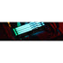 Kingston FURY Beast 16GB (2 x 8GB) DDR5 SDRAM Memory Kit | SKU KF556BAK16