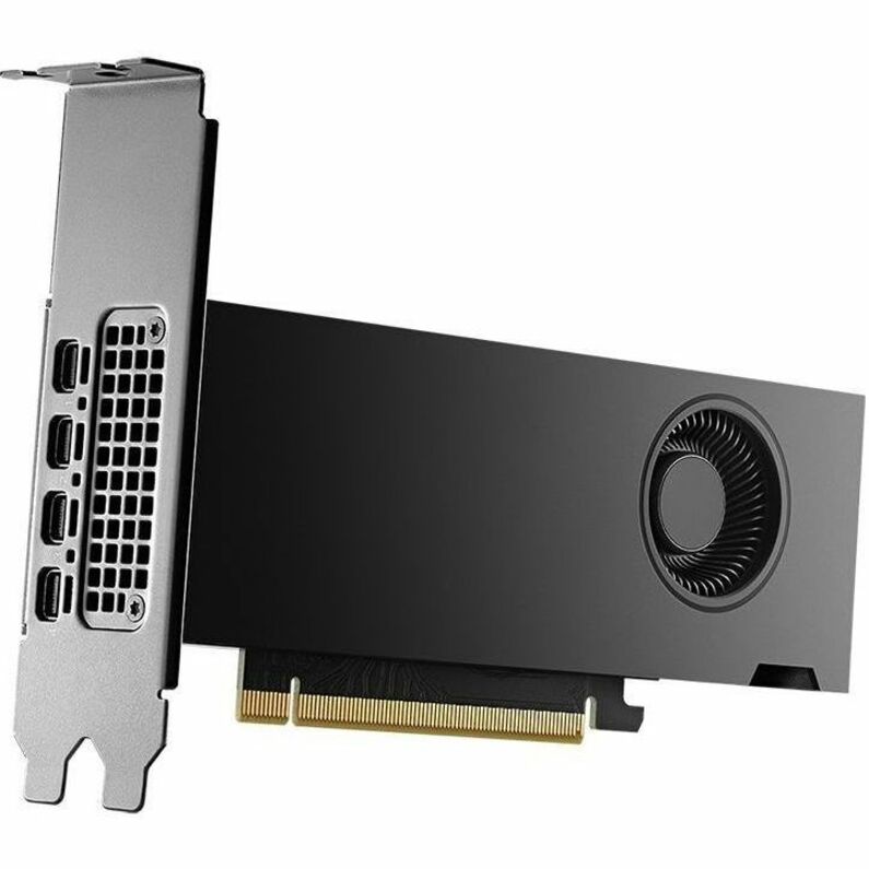 NVIDIA RTX™ 2000 Ada Generation Professional Graphics Board