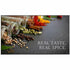 LG 65UP5Q-E Digital Signage Display | SKU LG-65UP5QE