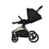 Maverick Yellow Gold with Black Stroller