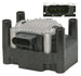 Ignition Coil (IC200) for Volkswagen Sharan & Volkswagen Polo & more - 198675RC