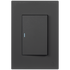 Ellies 1 Lever 2 Way Switch 2x4 (60mmx100mm) -BK