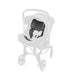 Doona + Car Seat & Stroller