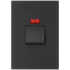 Ellies 32A 2 Pole Isolator Switch with Light 2x4 (60mmx100mm) -BK