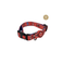 Disney Spider-man Premium Collar XS/S