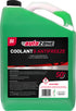 Antifreeze - AUTOZONE - AF10