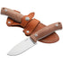 Lionsteel M2M CVN