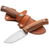 Lionsteel M2M ST