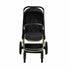 Maverick Yellow Gold with Black Stroller